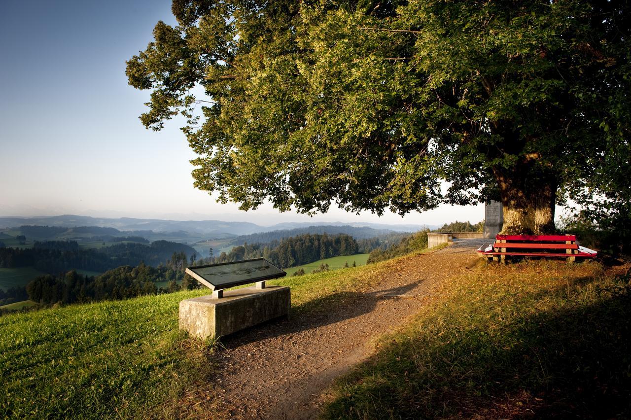 Landgasthof Und Seminarhotel Lueg Kaltacker Exterior foto